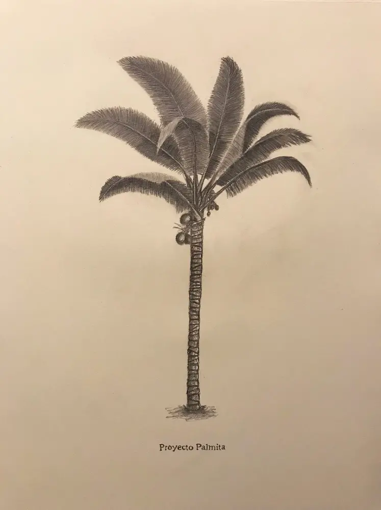 Proyecto Palmita Proyecto Palmita