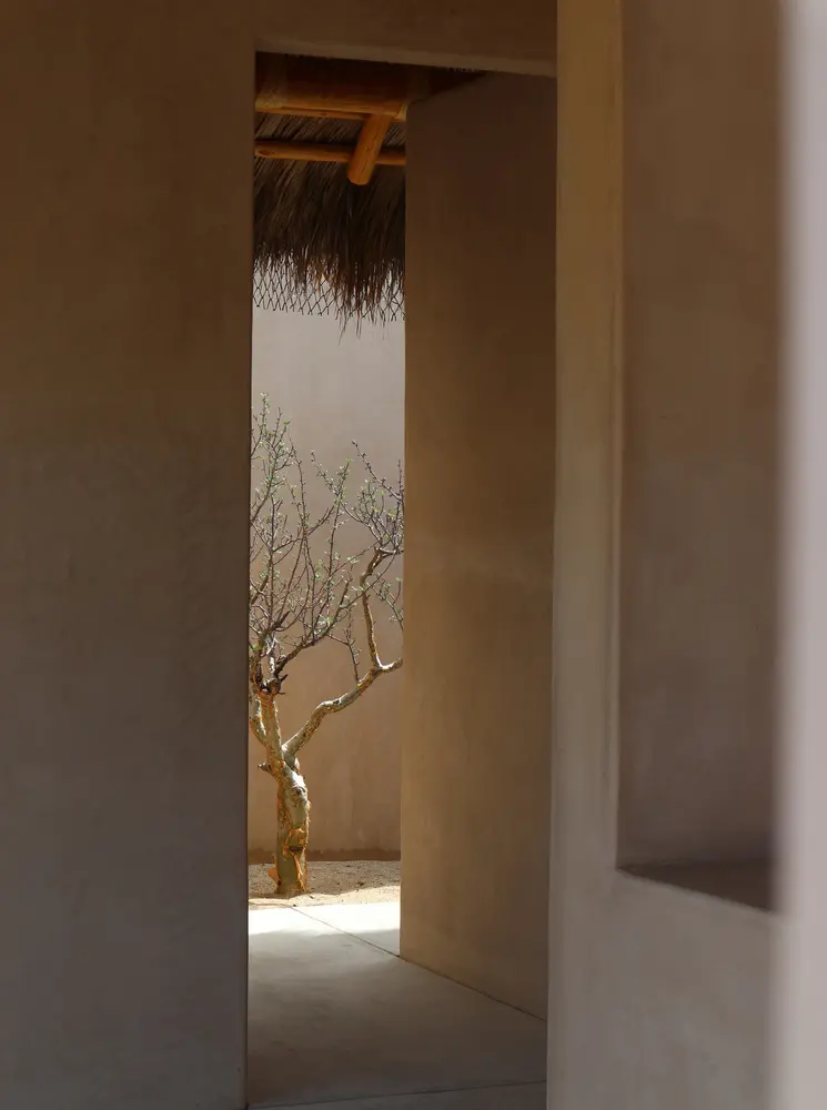 Proyecto Palmita Proyecto Palmita