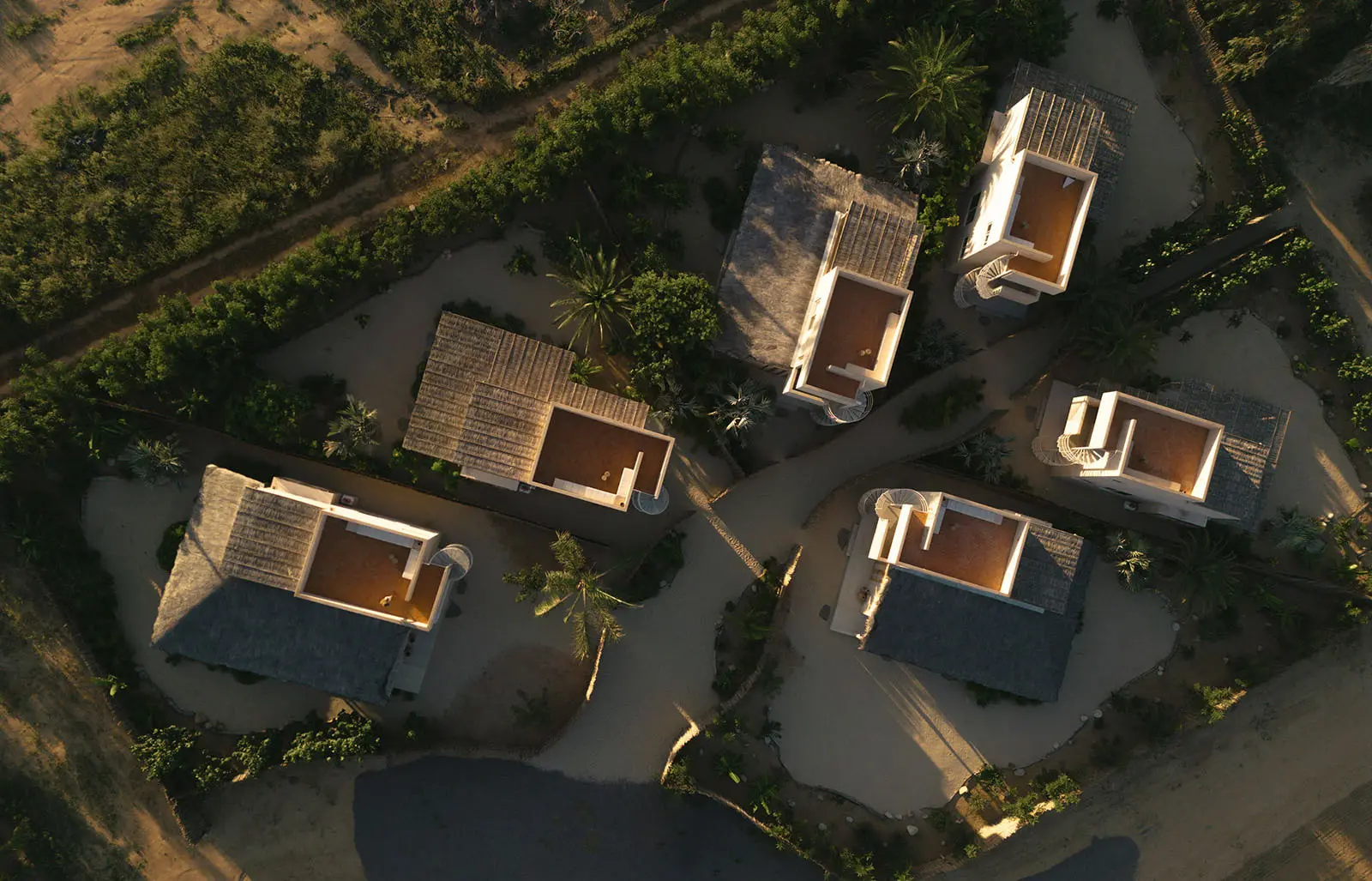 Proyecto Palmita Proyecto Palmita