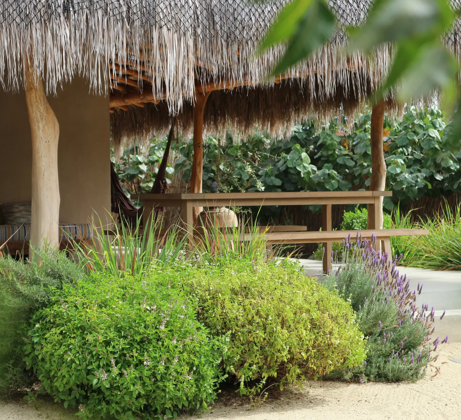 Proyecto Palmita Proyecto Palmita