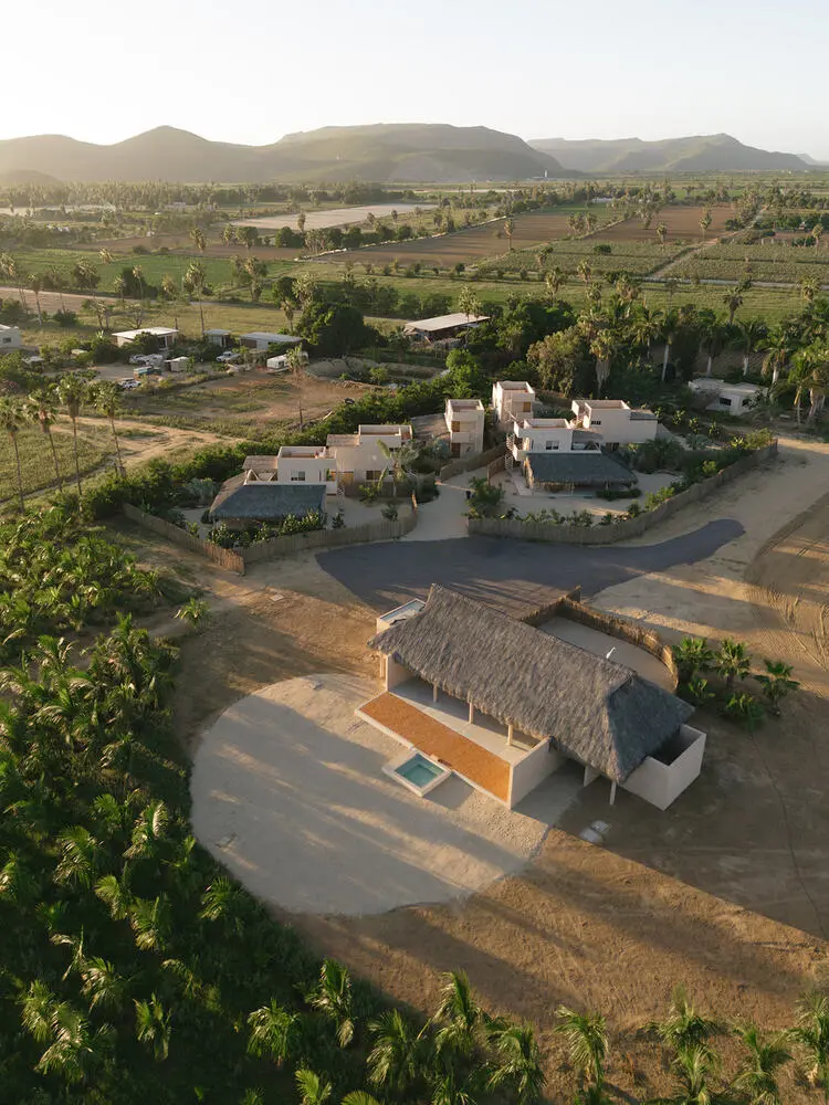 Proyecto Palmita Proyecto Palmita