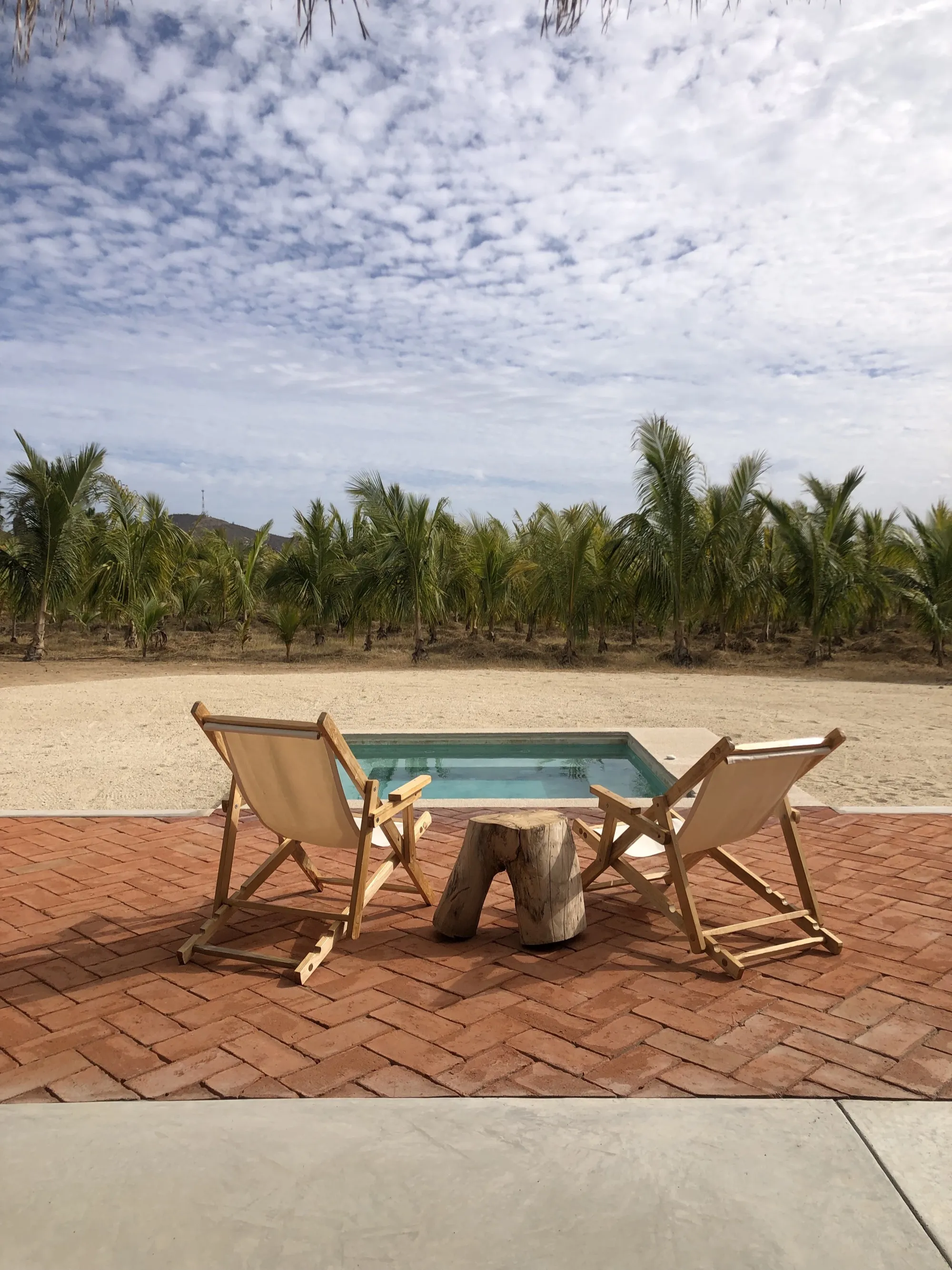 Proyecto Palmita Proyecto Palmita