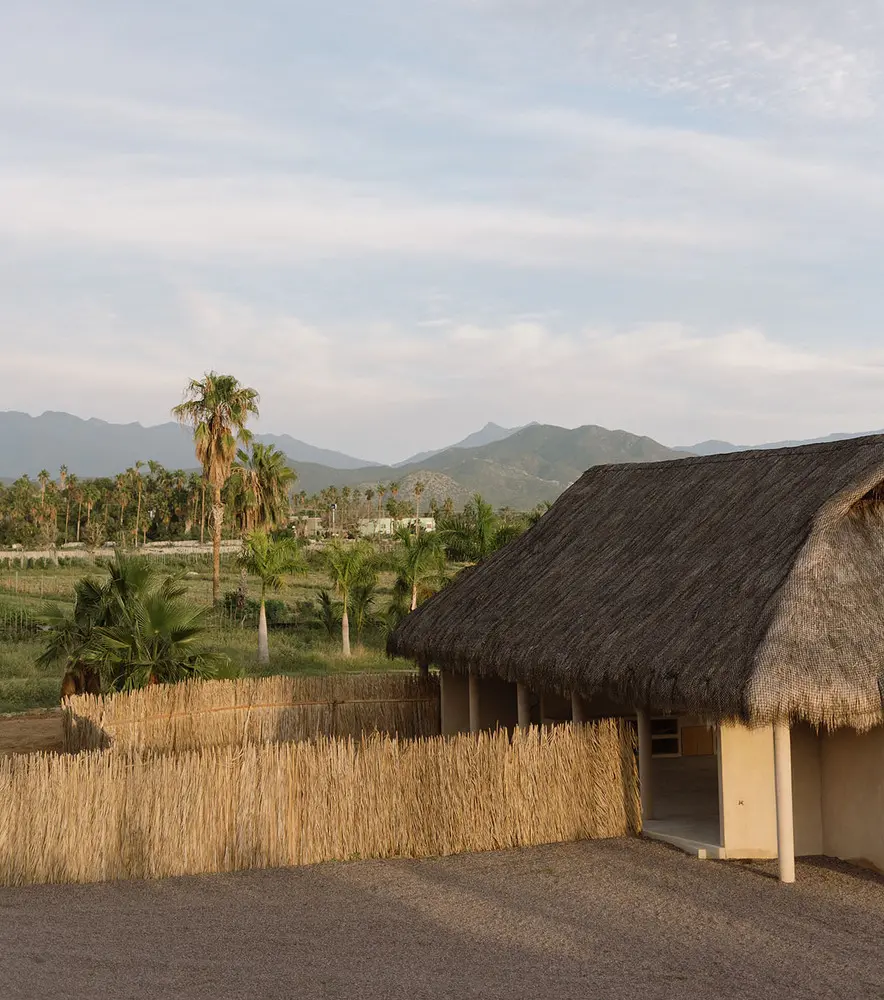 Proyecto Palmita Proyecto Palmita