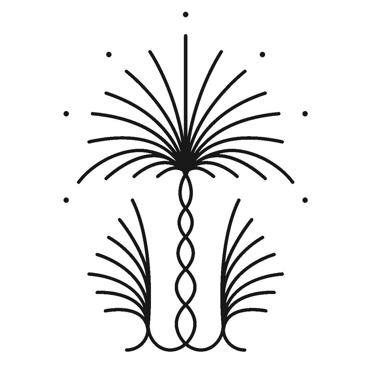 Proyecto Palmita Proyecto Palmita